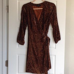 J.Crew Velvet Leopard Dress